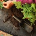 Lopatka na zeminu na sadenie a výsadbu do kvetináčov